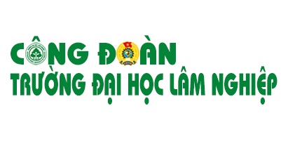 TƯ LIỆU VIDEO HOẠT ĐỘNG CÔNG ĐOÀN